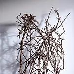 Penzion Schlegelhof