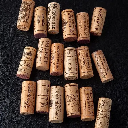 Schlegelhof Konukevi Kirchzarten