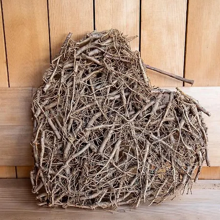 Konukevi Schlegelhof 4*