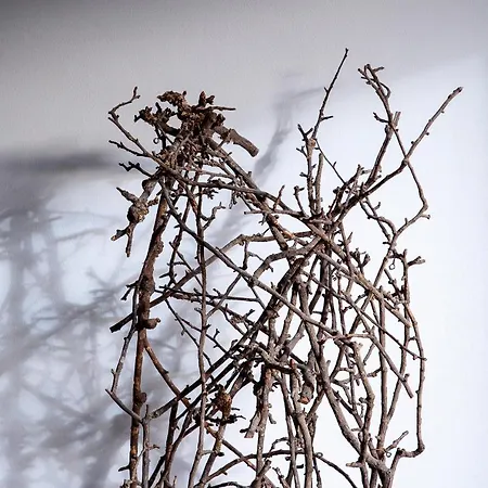 Konukevi Schlegelhof