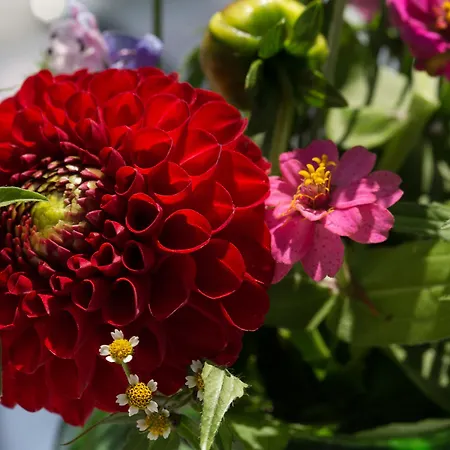 Schlegelhof Гостевой дом