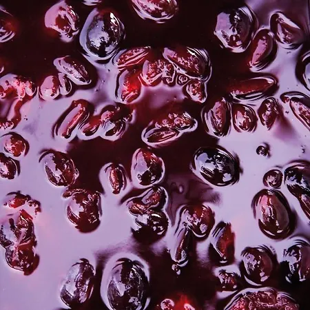 Konukevi Schlegelhof 4*